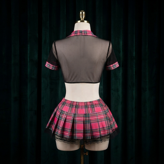 Pink Plaid Mesh Costume Set - Sheer Top With Lace Trim Mini Skirt